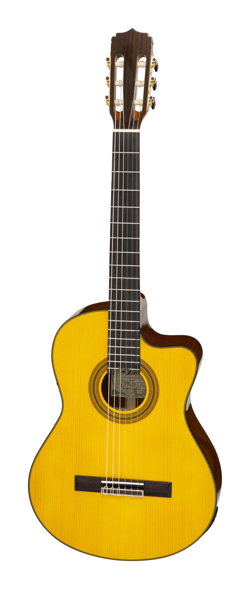 楽天市場】ARIA アリア エレガット A-35CE スタンド付 厳選6点