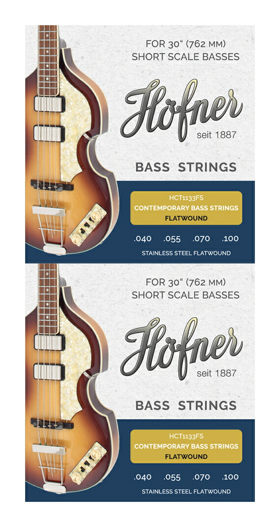 Hofner HCT1133FS ×2 [40-100] ヘフナー バイオリンベース用 ステンレススチール製 フラットワウンド弦 セット【メール便発送・全国送料無料・代金引換不可】