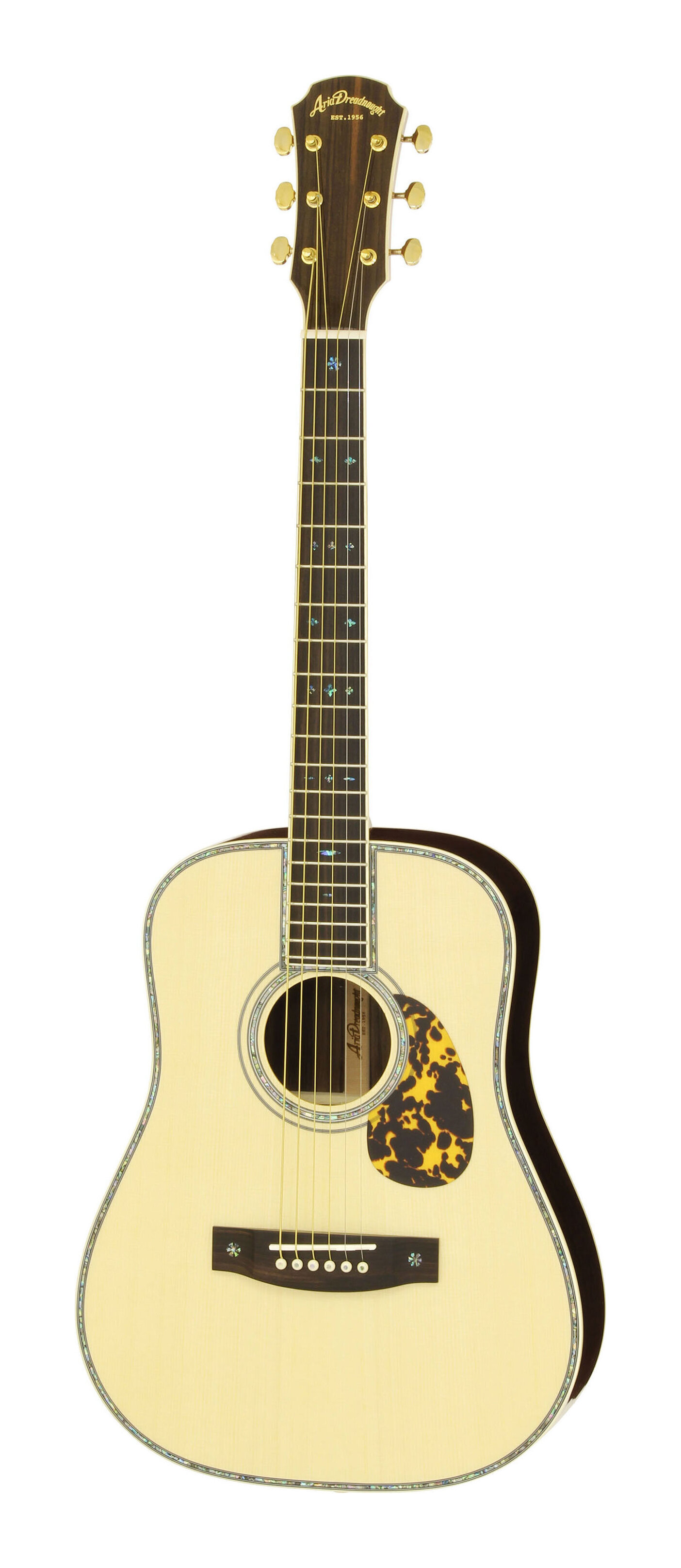 Aria Dreadnought AD-28TBS アコースティックギター ARIA Dreadnought アリア AD-28 TBS【付属品多数】 - メルカリ