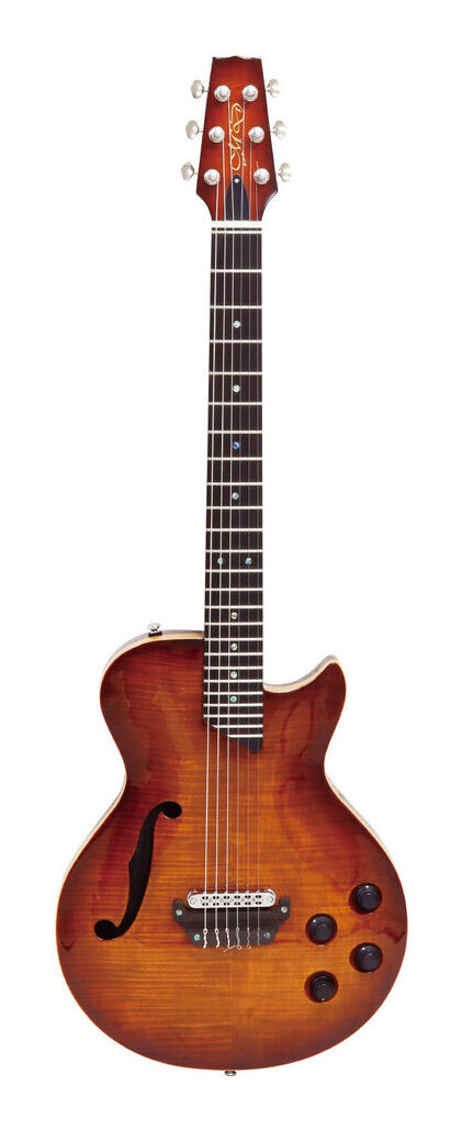 楽天市場】LANDSCAPE SE-01/N AVC ナイロン弦 エレアコ エレガット