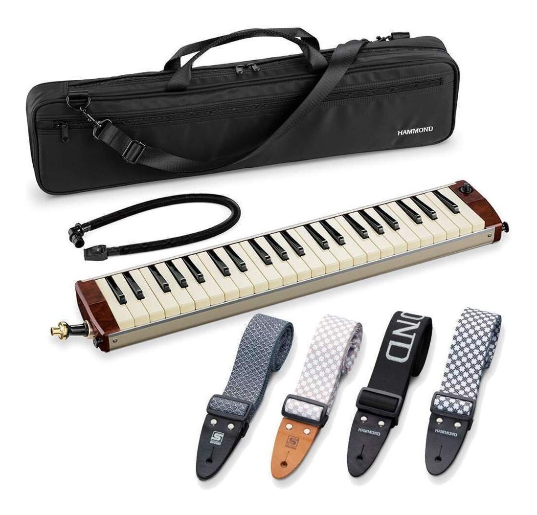 HAMMOND BB B-24H ハモンド 鍵盤ハーモニカ エレアコ バスモデル HAMMOND BB B-24H ハモンド 鍵盤ハーモニカ エレアコ バスモデル