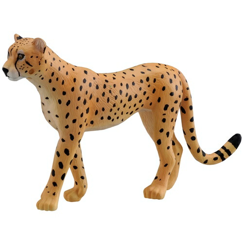 楽天市場 アニア As 13 チーター フィギュア 男の子プレゼント 誕生日プレゼント アニマルアドベンチャー 動物フィギュアシリーズ ペットシリーズ タカラトミー トイランドクローバー楽天市場店