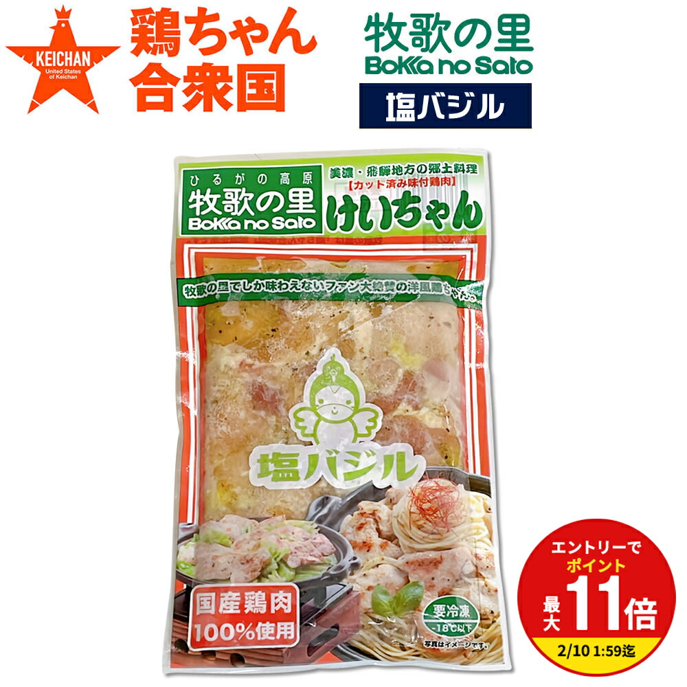 楽天市場】鶏ちゃん合衆国 加盟店 下呂市馬瀬 村山チキンセンター