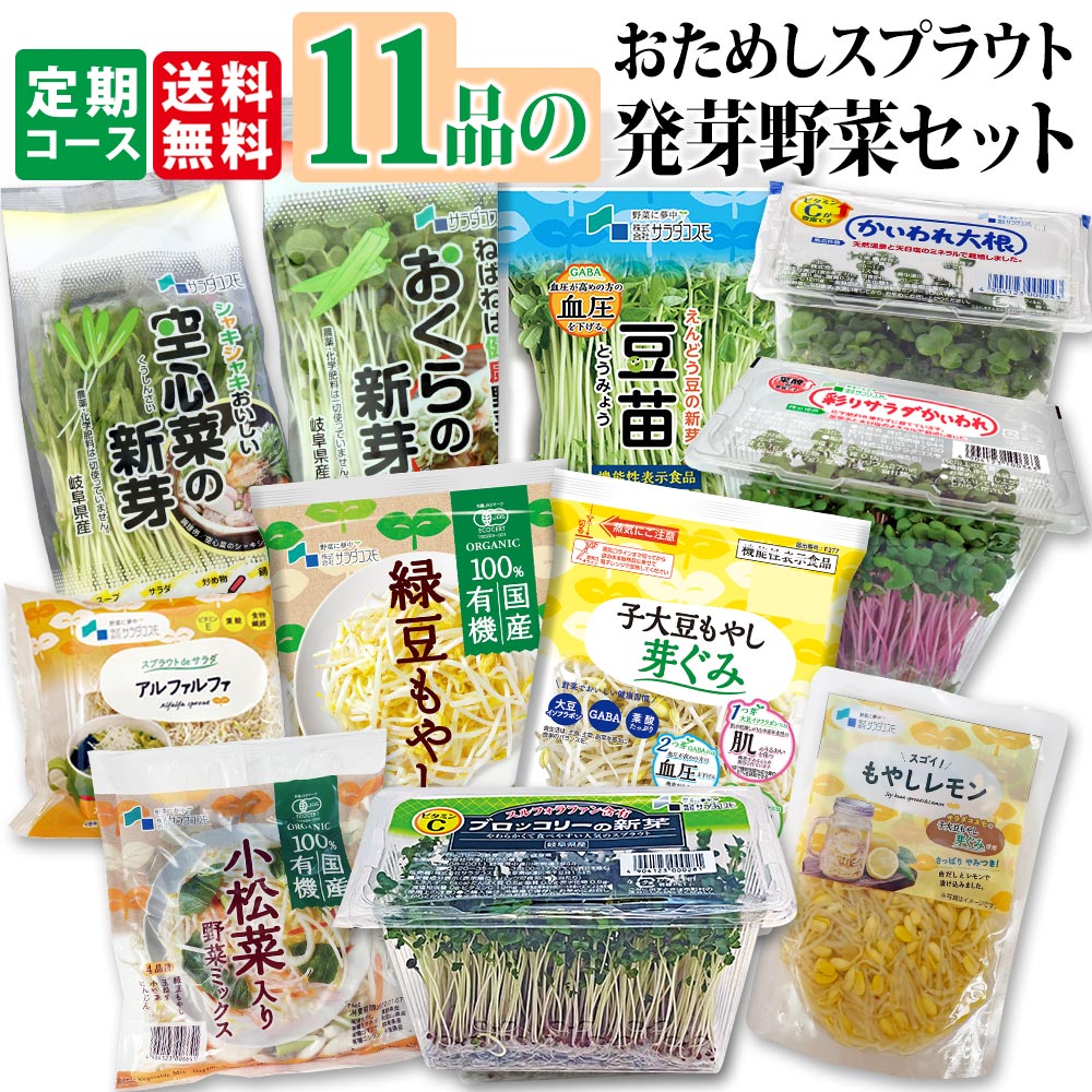 楽天市場】野菜 セット お試し 11品 送料無料 / 子大豆もやし