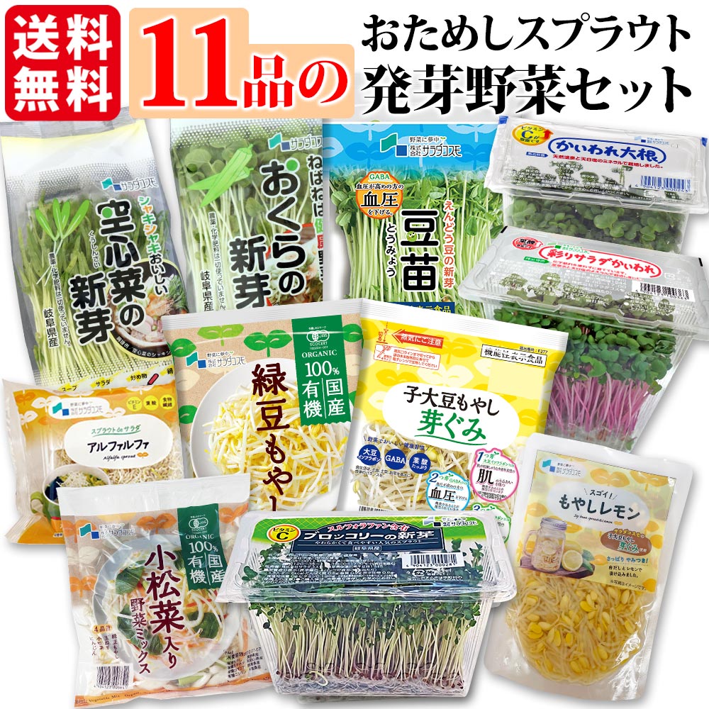 もやしの　ソフトスリーブ+ハードスリーブ2枚セット×８枚セット 楽天市場】野菜 セット お試し 11品 送料無料 / 子大豆もやし