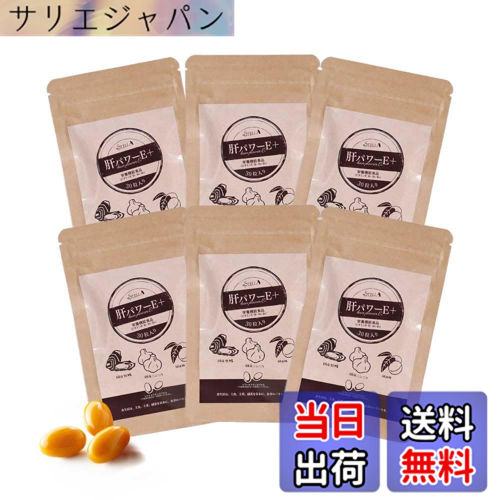 【貨物輸送無料】【まとめてお得！】中心柱漢方 肝力強さE+（30粒x6袋）