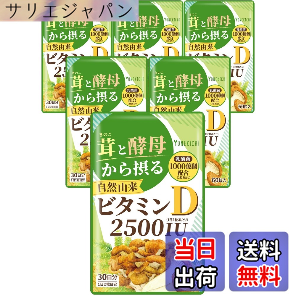 【貨物輸送無料】【気取らない謂われ因縁 ヴィタミンD 加えること】2500IU 茸とパン種から摂るヴィタミンD（舞茸 エリンギ パン種） 乳酸菌 1000億個練り合わせる 国内生み出すこと 60粒 6袋仕掛ける
