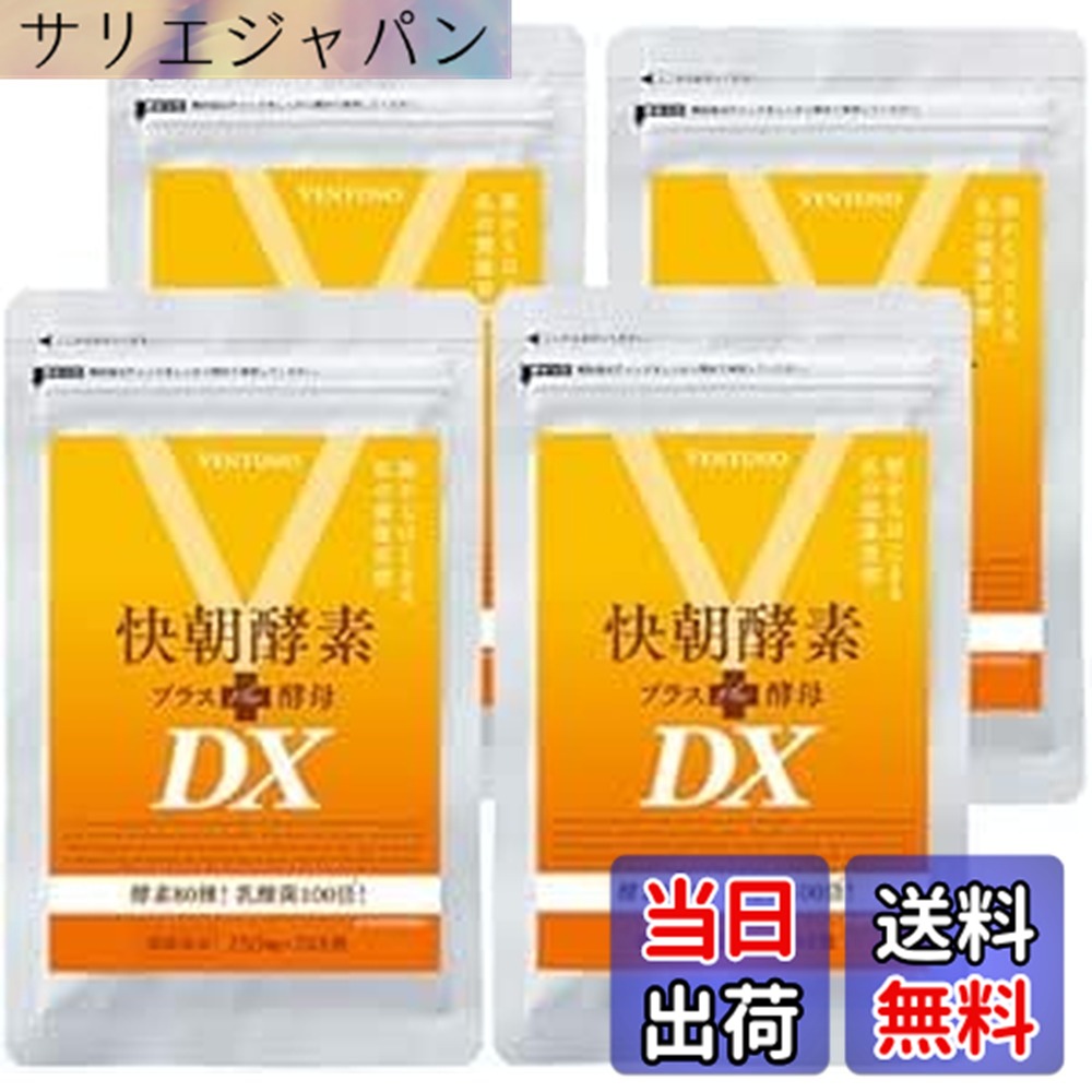 【貨物輸送無料】エンザイムサプリ 【 快朝エンザイム足し加えるパン種DX 248粒 4袋仕掛ける 約8か月分 】全80類概念 パン種 乳酸菌 麦酒パン種 食料雑貨類衣料繊維 生まれながら構成成分 オオバコ アロエベラエキス末 コラーゲン 美容構成成分 カルニチン ヴィタミン 鉱物 サプリ ヴェントゥーノ