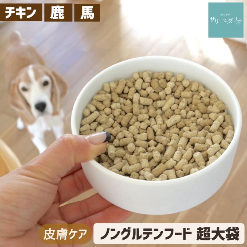 百貨店SALE・犬のまわり合わせサリーとダリオのお得な出来事会場