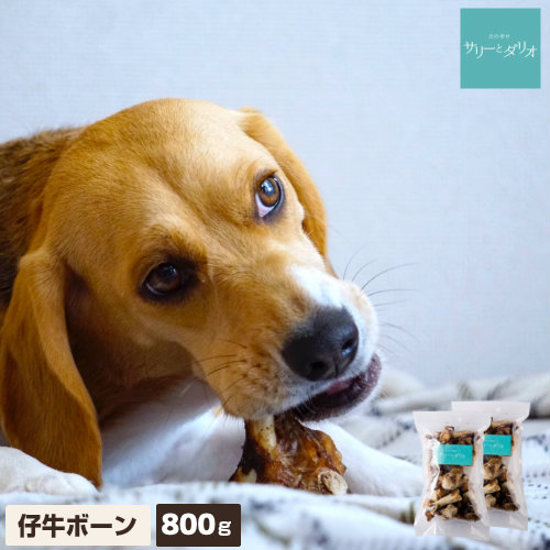 犬 おやつ 無添加 国産 仔牛ボーン 【800g・400g2袋】 歯石除去 歯石取り 歯磨き 口臭 低カロリー 仔牛の骨 子牛 大腿骨 カット 硬いおやつ 長持ちオヤツ ボーン 小型犬 中型犬 大型犬 詰め合わせ 大容量 サリダリ