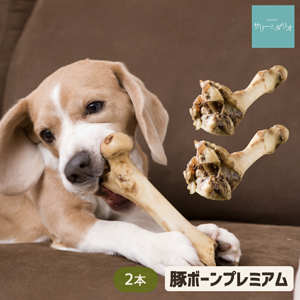 p_bone2.jpg p_bone2.jpg