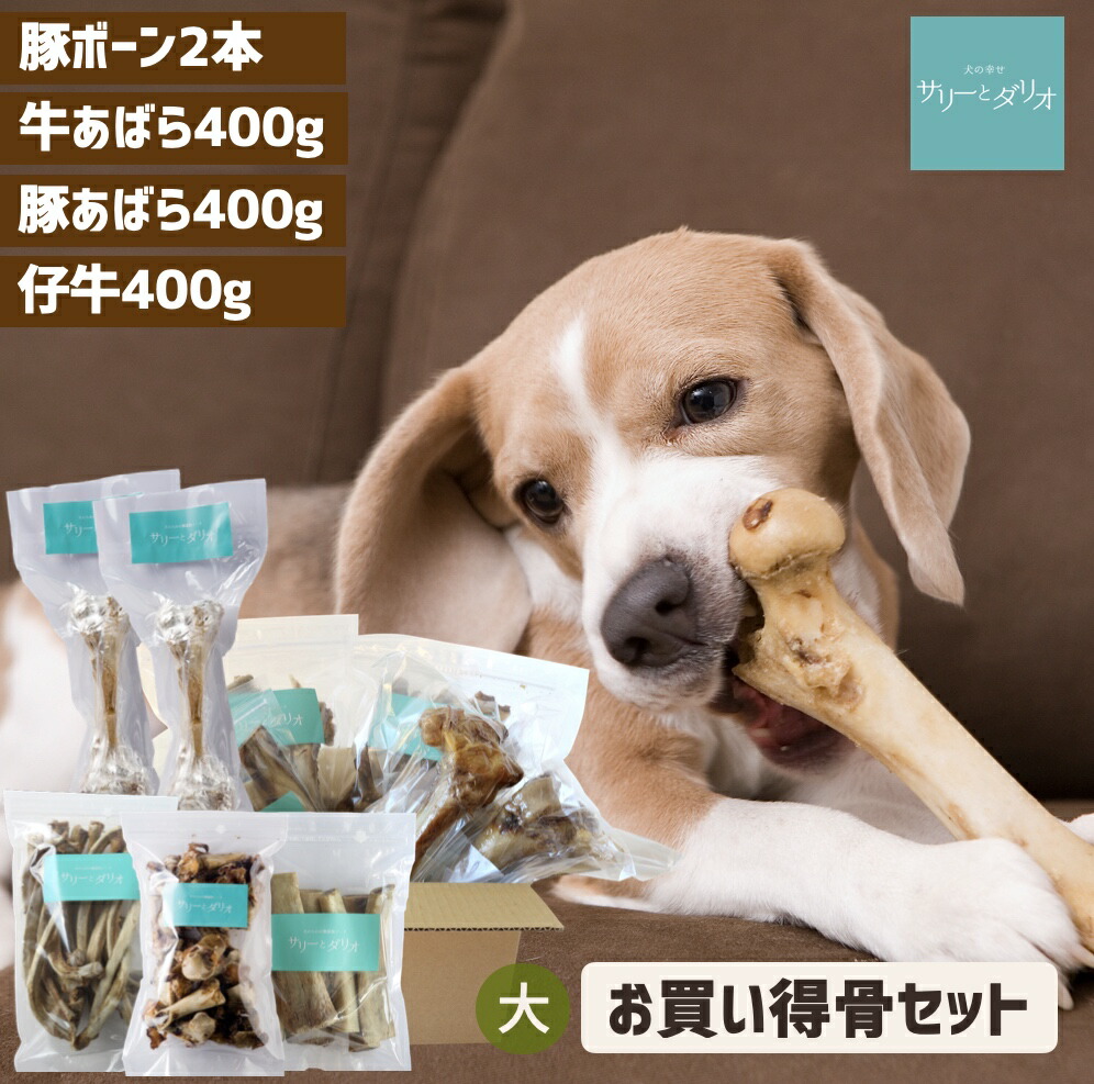 犬のイボ打つ手・ハトムギサプリと薬膳田の実の素を使ったイボ止めることの手作り田の実処方せん