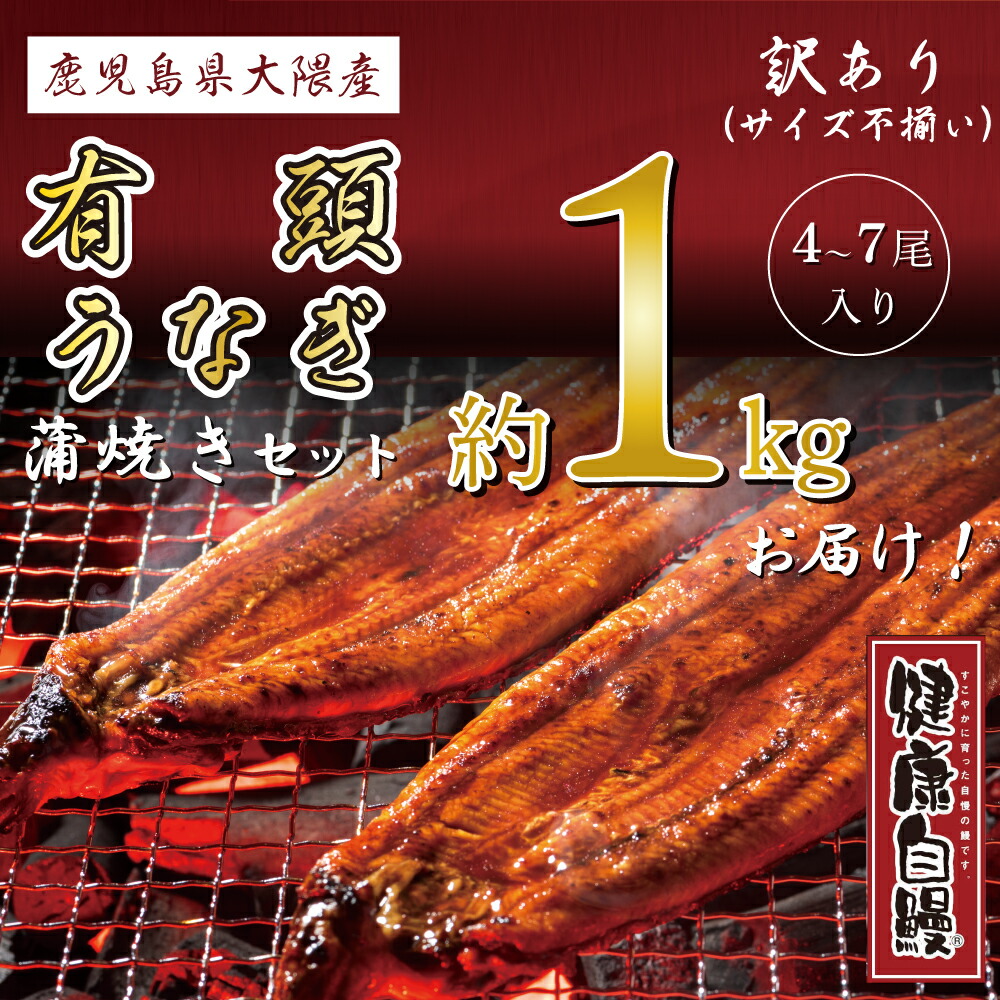 【サイズ訳あり国産有頭うなぎ蒲焼き約1ｋｇ】4尾から7尾入り【送料無料】 国内産 鹿児島県大隅産 健康自鰻 ウナギ 鰻蒲焼 お取り寄せグルメ ふんわりと焼き上げた【今なら蒲焼のタレをプレゼント！】土用丑の日 美味しい