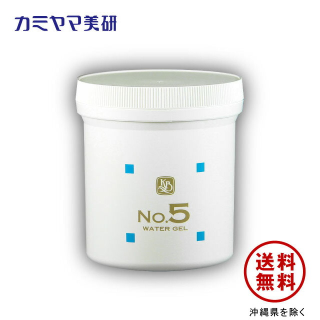 楽天市場】【在庫あり】No.2・保湿ローション・250ml【カミヤマ美研