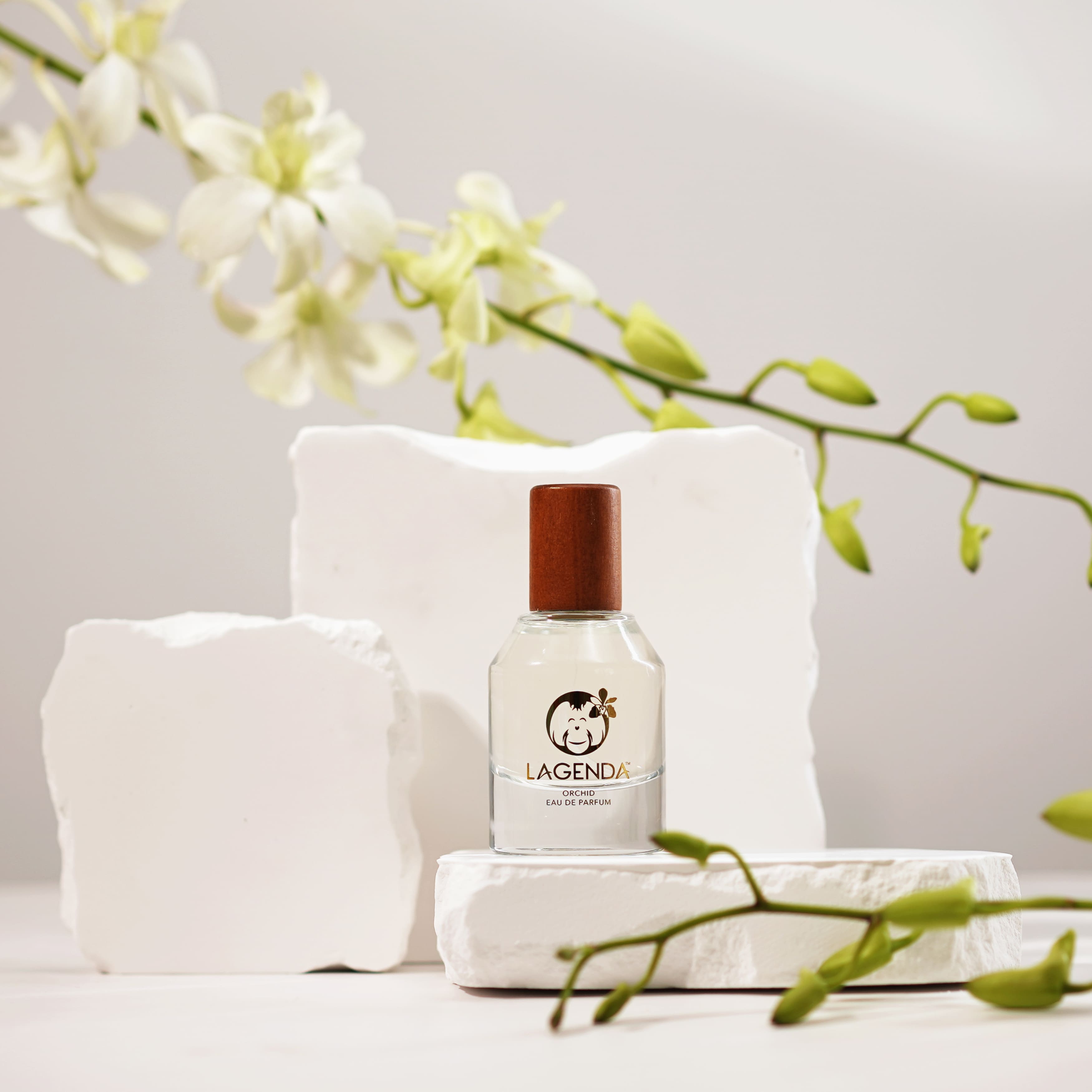 楽天市場】オリジンズ ジンジャー センシャス セント 50ml [Origins