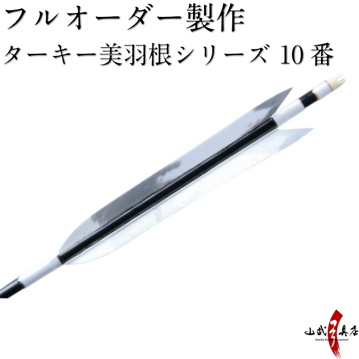 80/20クロス 美品 イーストン 弓 6本 矢筒付き | www.tegdarco.com