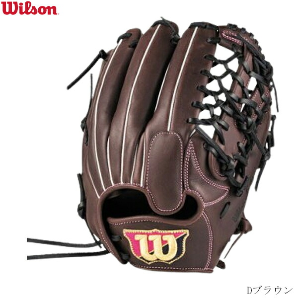 楽天市場】ウィルソン ソフトボールグラブ オールラウンド用