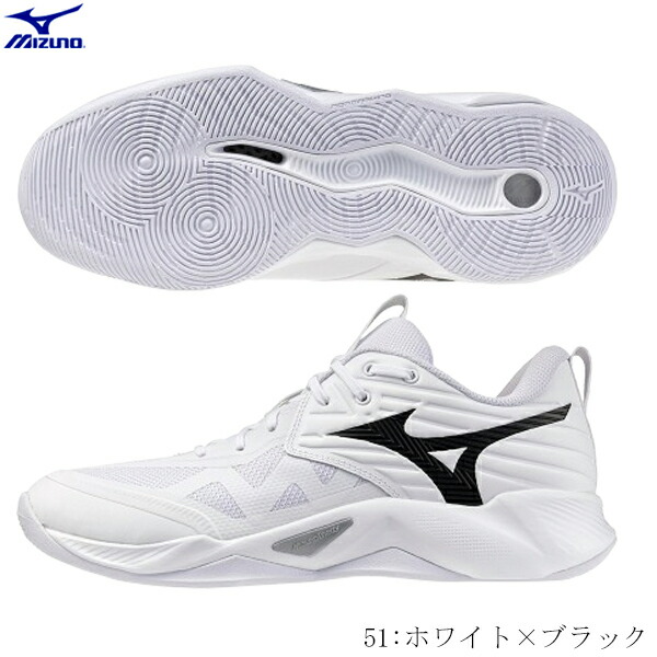 【百貨店大売り出し継続期間制限事項！全品尖んがり2倍】 MIZUNO ミズノ 排球シューズ WAVE MOMENTUM PRO ウーエーブモーメンタム 労働者階級 置き目とり捨てる ノンマーキングソール 足幅2E好いかげんに V1GA254051 2507ai