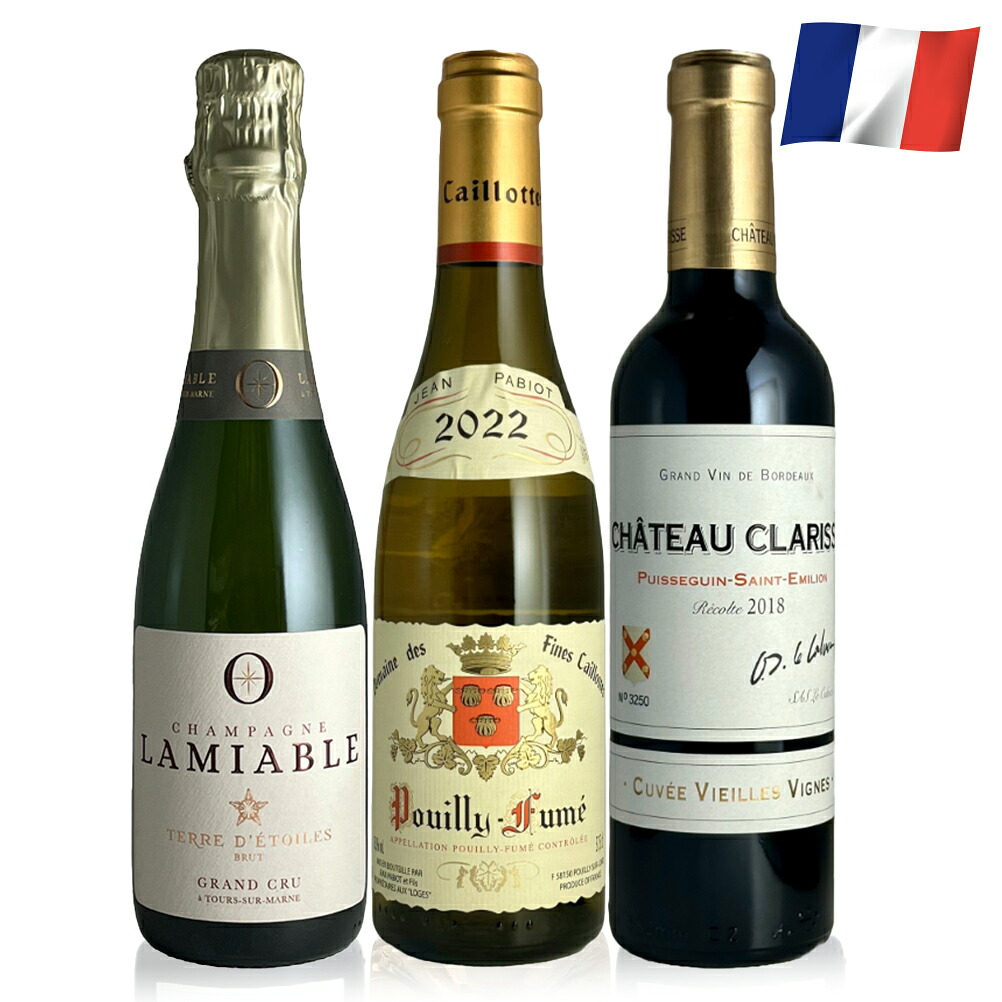 泡白赤フランスハーフサイズ 3本セット 375ml ワイン 飲み比べ ワインセット ハーフサイズ 白ワイン 赤ワイン シャンパン フランス シャンパーニュ ロワール ボルドー シャルドネ ピノノワール ソーヴィニヨン メルロー カベルネフラン ギフト 贈り物 最強翌日配送
