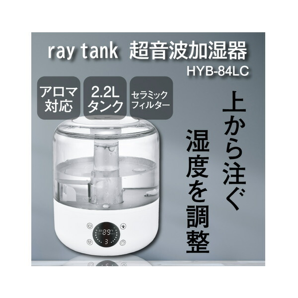 楽天市場】ヒロコーポレーション 次亜塩素酸対応ウイルスを不活化!ray