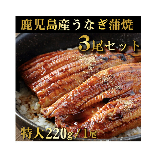 在庫一掃 鹿児島産鰻蒲焼 有頭 3尾セット 1尾あたり220g前後 国産うなぎ fucoa.cl