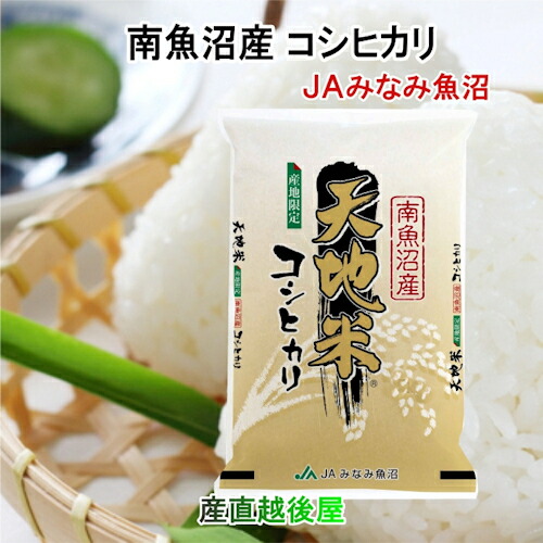 【楽天市場】令和６年産 新米 南魚沼産 コシヒカリ 30kg玄米 新潟県 南魚沼 JAみなみ魚沼農協 特Ａ地区 天地米 送料無料【お米 こしひかり  ギフト グルメ】 : 産直越後屋