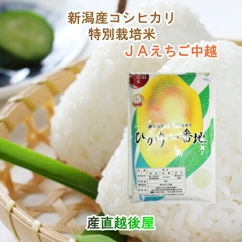 【楽天市場】令和６年産 新米 コシヒカリ 新潟産 新潟県 JAえちご中越農協 新潟県産 特別栽培米 コシヒカリ ５kg 送料無料【お米 ギフト  グルメ】 : 産直越後屋