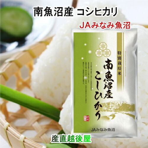 【楽天市場】令和６年産 新米 コシヒカリ 新潟産 新潟県 JAえちご中越農協 新潟県産 特別栽培米 コシヒカリ ５kg 送料無料【お米 ギフト  グルメ】 : 産直越後屋