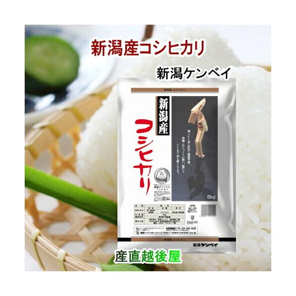 楽天市場】令和7年産 コシヒカリ 新潟産 新潟県 JAえちご中越農協