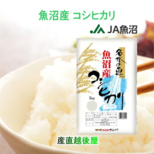 楽天市場】令和7年産 新米 こしひかり 魚沼産 新潟県 特A地区