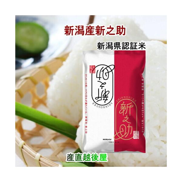 令和6年度産 新潟県産 新之助 白米 20kg
