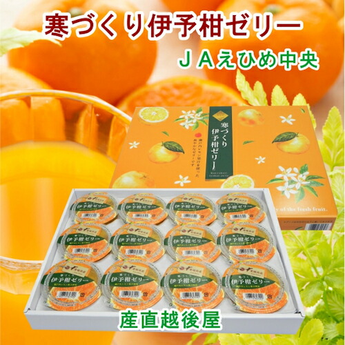 楽天市場】伊予柑ゼリー ゼリー いよかんゼリー みかんゼリー 1