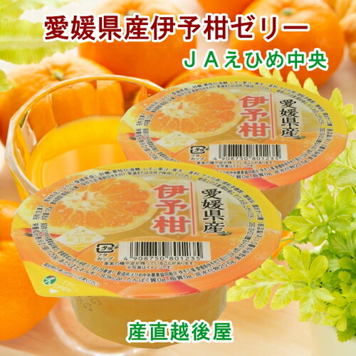愛媛県の農協 JAえひめ中央 愛媛の果実 伊予柑カップゼリー 伊予柑ゼリー 120g 30個 送料無料【フルーツ 柑橘類 ゼリー ギフト】 【父の日】