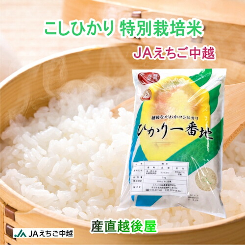 令和７年産 コシヒカリ 新潟産 新潟県 JAえちご中越農協 新潟県産 特別栽培米 コシヒカリ 30kg送料無料【お米 ギフト グルメ】｜産直越後屋