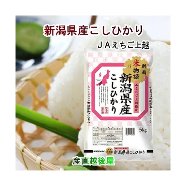 令和７年産 新潟県産 コシヒカリ 新潟県産 JAえちご上越 コシヒカリ10kg 産地限定 新潟ケンベイ産 送料無料【米 こしひかり ギフト グルメ】 【御中元】｜産直越後屋