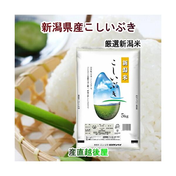 令和７年産 新潟県産 新潟県産 新潟米 こしいぶき20kg ＪＡ農協米 新潟ケンベイ産 送料無料【米 こしひかり ギフト グルメ】｜産直越後屋 22,994円
