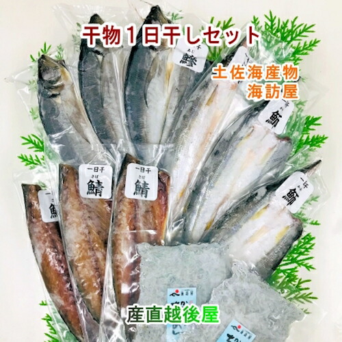 高知県高知市場 土佐海産物 海訪屋 厳選１日干セット 冷凍便でお届け 送料無料【冷凍便 ギフト グルメ 贈り物 産地直送】 4,590円