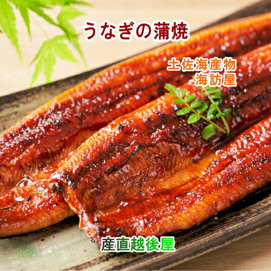 高知県高知市場 土佐海産物 海訪屋 高知県仁淀川産うなぎの蒲焼 ２尾 送料無料【冷凍便 ギフト グルメ 贈り物 産地直送】  【父の日】