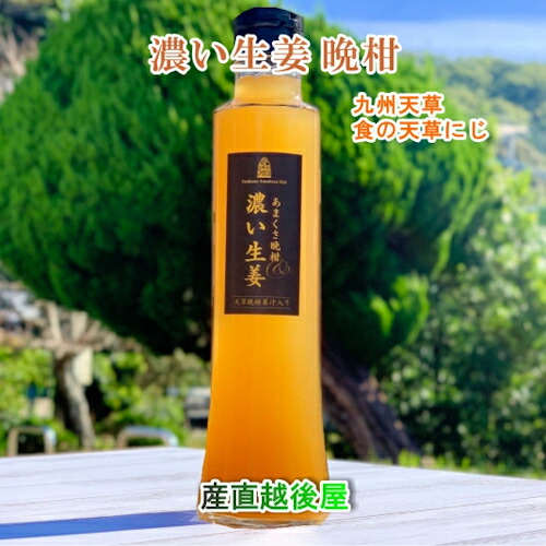 熊本県 天草市 食の天草にじあまくさ晩柑＆濃い生姜 5倍希釈 2本天草産の天草晩柑 根生姜 純正蜂蜜使用 送料無料【飲料 野菜 ジュース ギフト】