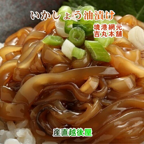 【魚介類 水産加工品 イカ 醤油漬け】鳥取県 境港市 網元吉丸水産漁師風いか醤油漬け 150g 10パック 冷凍保存送料無料【イカ 加工品 冷凍食品 ギフト プレゼント】  【父の日】