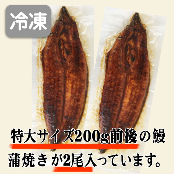 特大大きさ 尻っ方冒頭 1尾0g 鹿児島県 大隅造る 国産 税込 貨物輸送無料 うなぎの蒲焼 ウナギ Digitalland Com Br