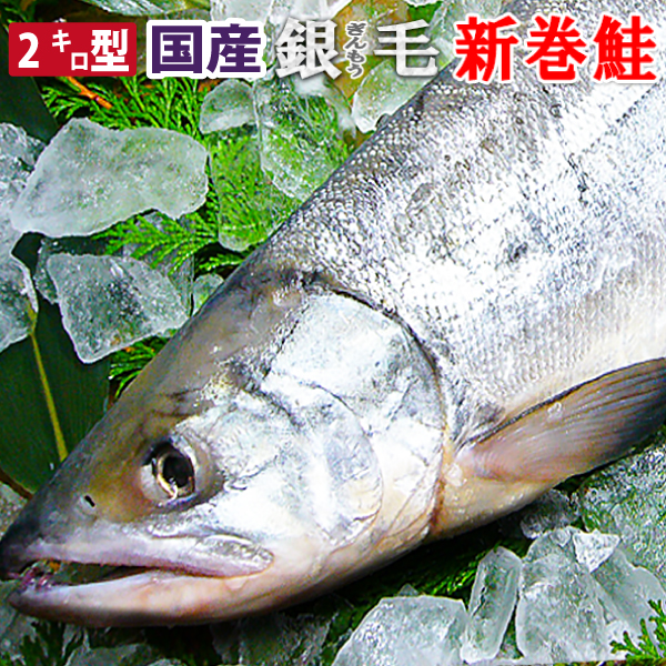 2キロ型｜北海道産銀毛新巻鮭