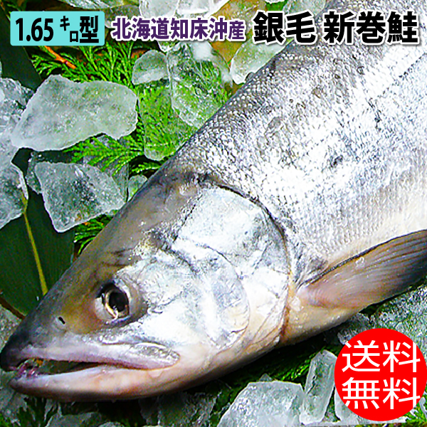 楽天市場 干物 焼魚 魚種別 鮭 鮭児 ケイジ 島の人 礼文島の四季 北海道ギフト