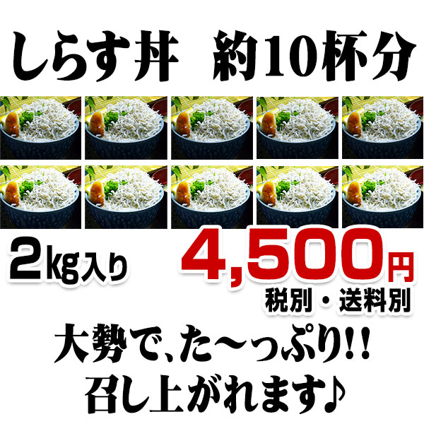 予約販売品】 国産 熊本県芦北産 釜揚げしらす 2キロ入り newschoolhistories.org