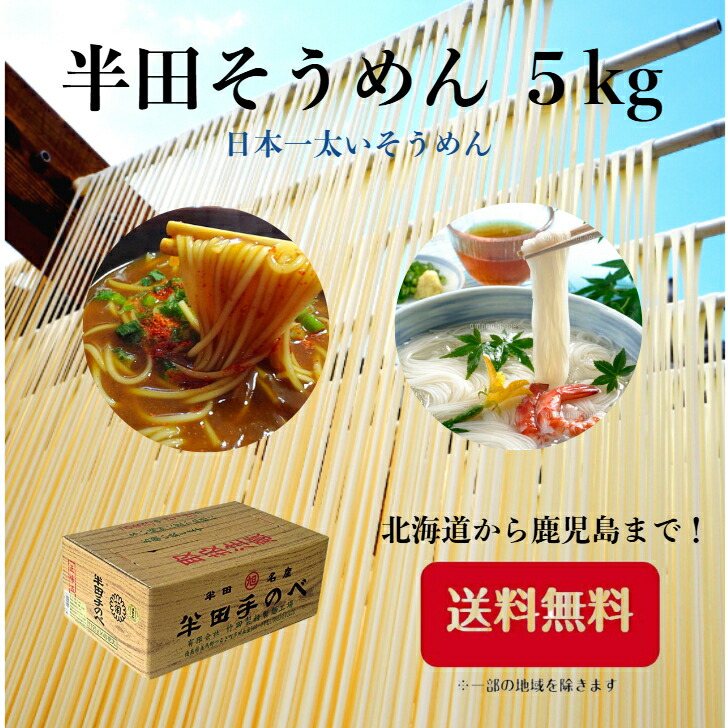 半田そうめん 送料無料 そうめん 竹田製麺 半田手延べそうめん 半田素麺 半田 素麺 半田そうめん竹田製麺 ギフト 手延べそうめん 自家需要 保存食 非常食 簡単 冬あったか 売れてます！半田そうめん 5キロ  (125g×40束)
