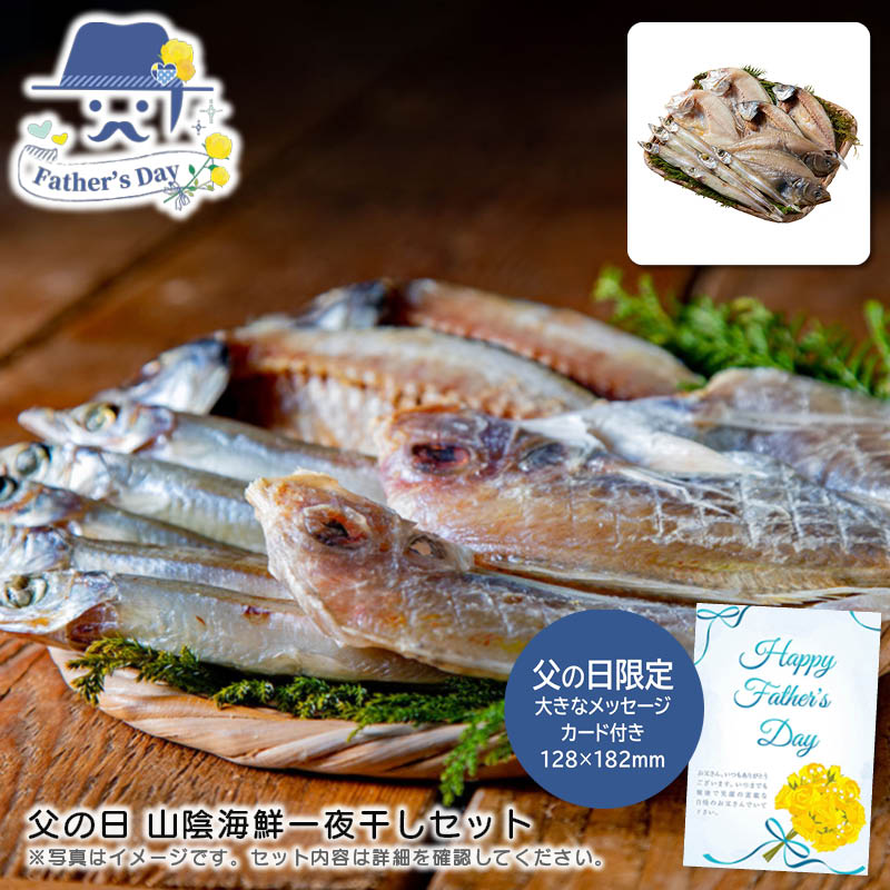 父の日 ギフト<br>父の日 山陰海鮮一夜干しセット<br>人気 おすすめ 食品 精肉 肉 肉加工品 <br>※こちらの商品は、メーカーおよび委託倉庫からの発送です。
