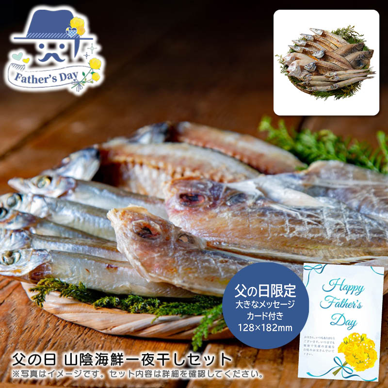 父の日 ギフト<br>父の日 山陰海鮮一夜干しセット<br>人気 おすすめ 食品 精肉 肉 肉加工品 <br>※こちらの商品は、メーカーおよび委託倉庫からの発送です。