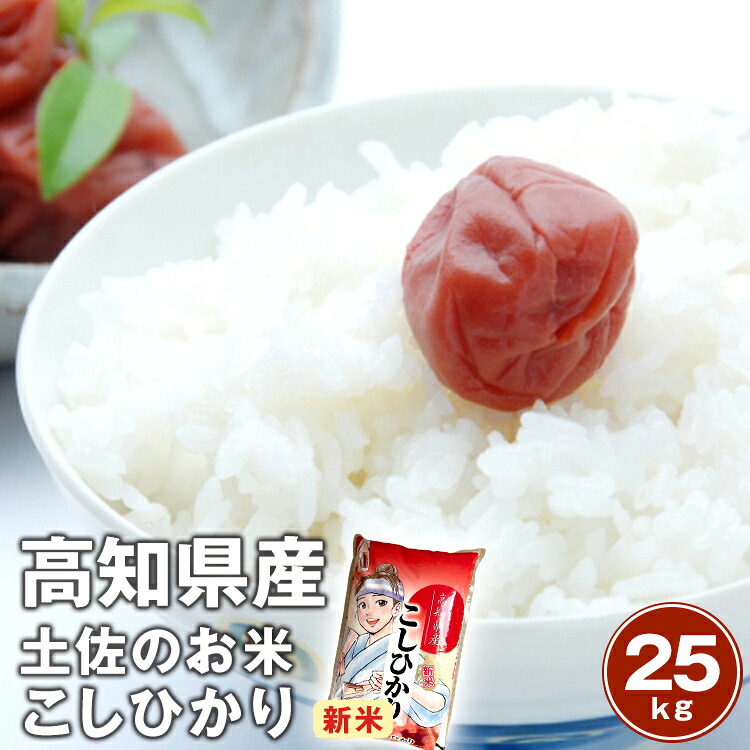 楽天市場】令和7年産 新米 新品種 高知県産よさ恋美人 5kg 10kg (5kg
