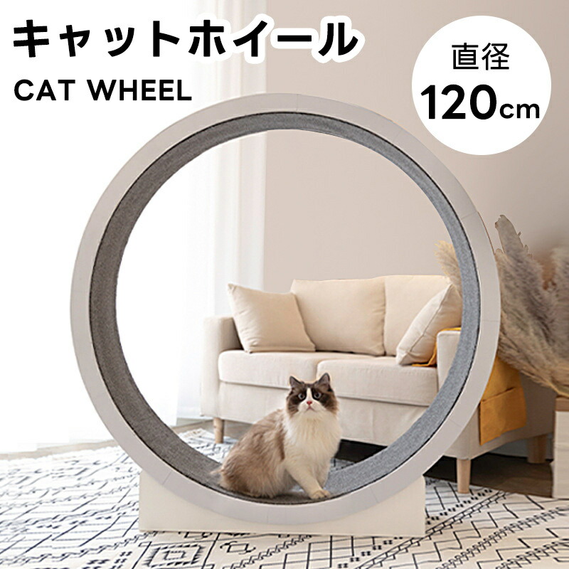 【楽天市場】キャットホイール 猫 ランニングホイール キャットウォーク キャット 猫用回し車 ローラー 猫のトレッドミル 爪研ぎ キャット