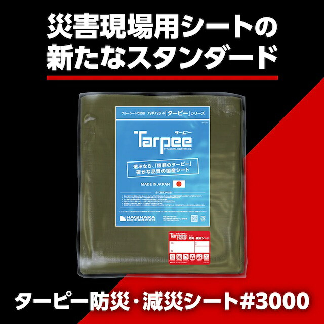 ペンキ塗り細工場ふじい
